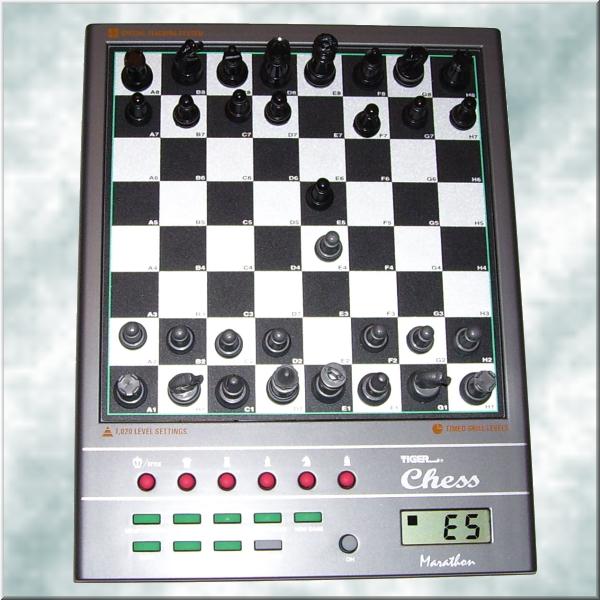 Datei:Chess marathon.jpg