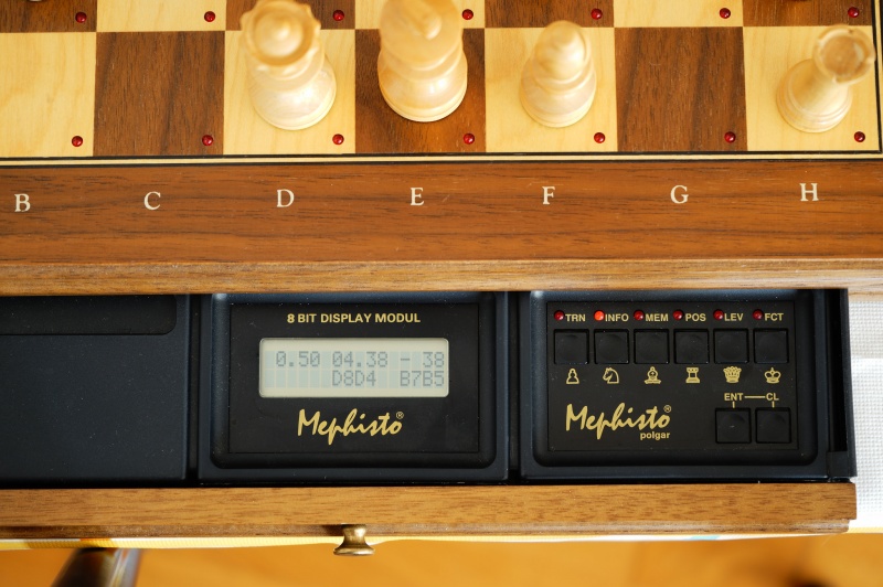 Datei:Mephisto Polgar 2.jpg