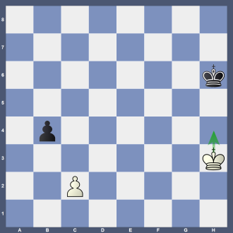 Stellung B 9 8/8/7k/8/1p6/7K/2P5/8 w Lösung: 1.Kh4