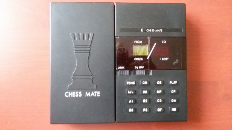 Datei:Cassia Chess Mate.jpg