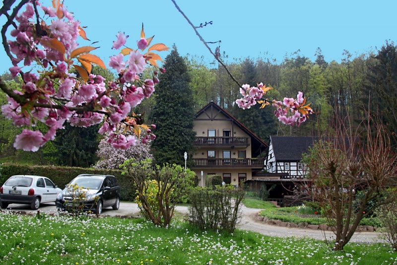 Datei:Klingenberg 2011 Bild-01.jpg