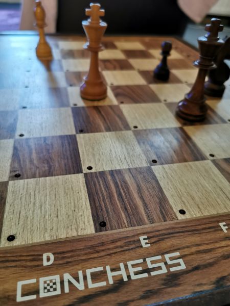 Datei:Conchess Monarch Bild 4.jpg