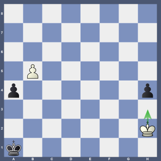Stellung B 21 8/8/8/1P6/p6p/8/7K/k7 w Lösung: 1.Kh3