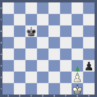 Stellung B 19 8/8/2k5/8/8/7p/6P1/6K1 w Lösung: 1.g3