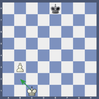Stellung B 2 4k3/8/8/8/8/1P6/8/2K5 w Lösung: 1.Kb2